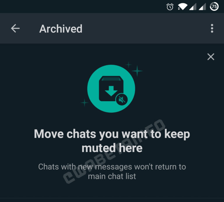 WhatsApp vacation mode