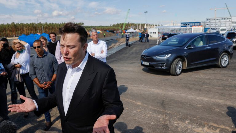 Tesla gigafabriek Duitsland, Elon Musk